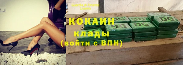 МДПВ Заводоуковск
