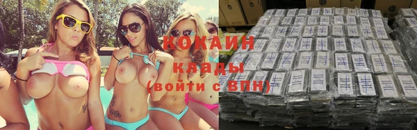 МДПВ Заводоуковск